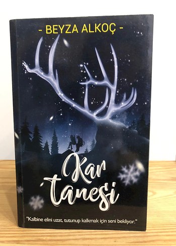 Beyza Alkoç Roman Seti: Karküresi & Kar Tanesi - Görsel 3