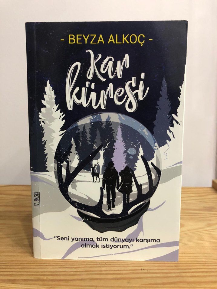 Beyza Alkoç Roman Seti: Karküresi & Kar Tanesi - Görsel 2