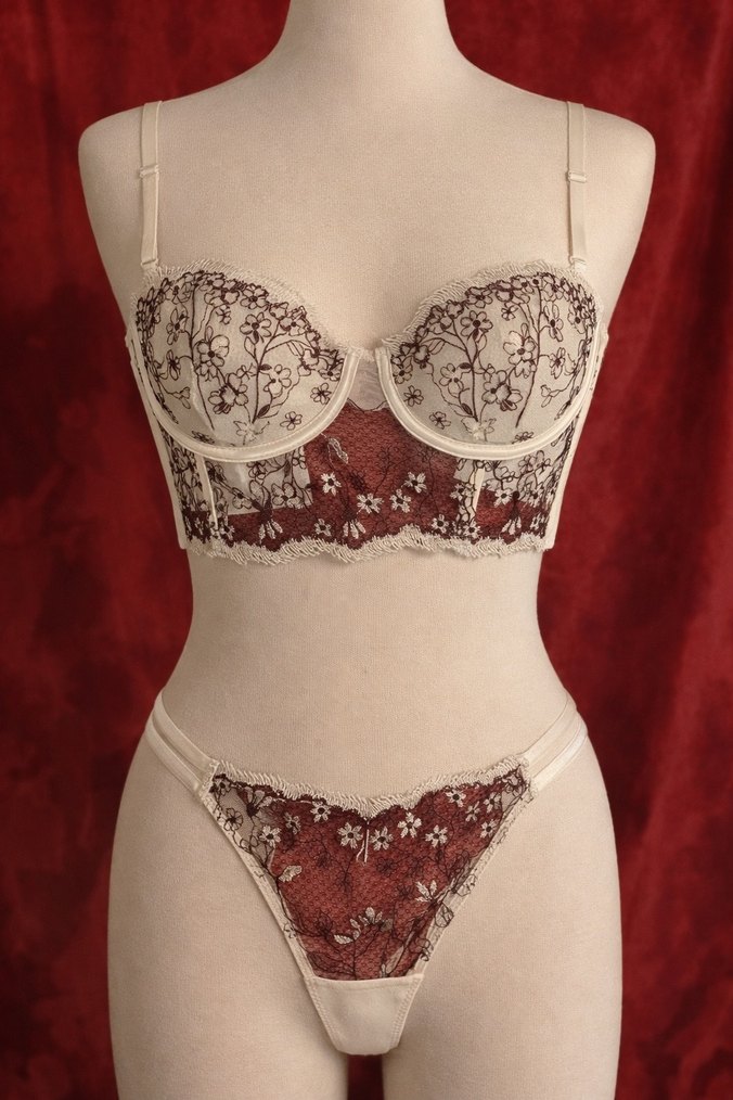 Nakış Detaylı Dantelli Kadın İç Çamaşırı Takımı - Görsel 2
