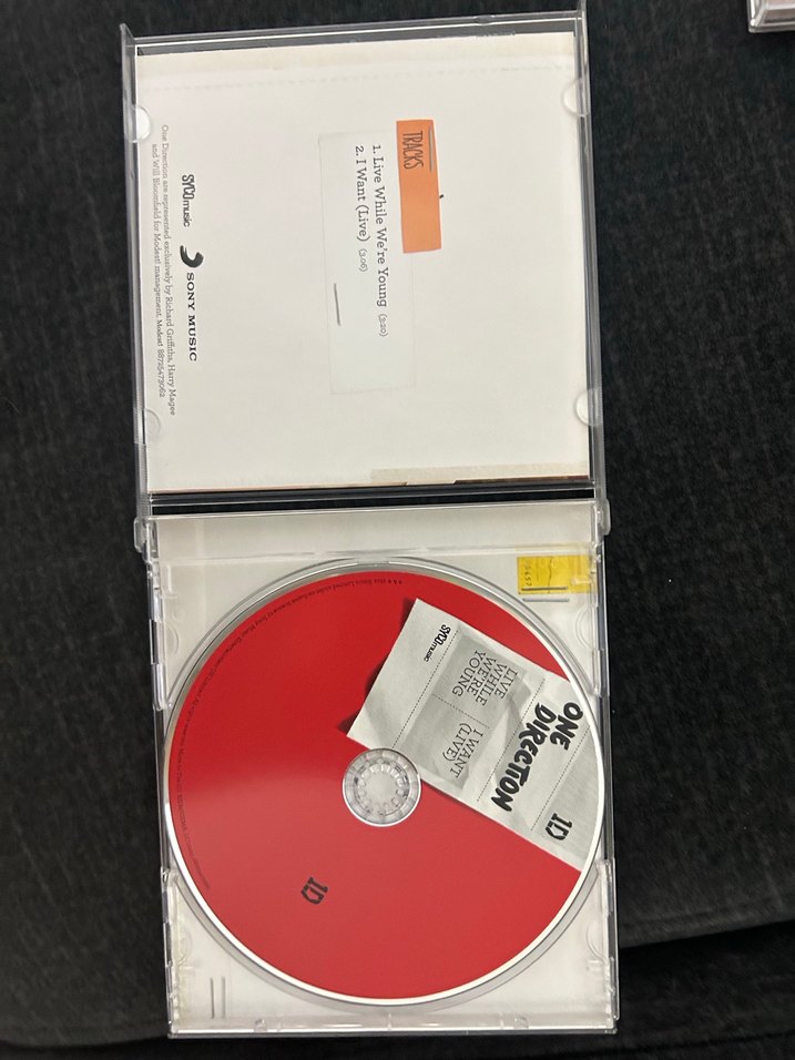 One Direction Live While We're Young Single - Görsel 3