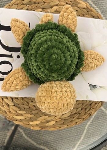 Örgü kaplumbağa - Görsel 5