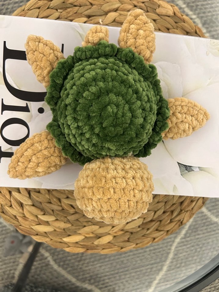 Örgü kaplumbağa - Görsel 5