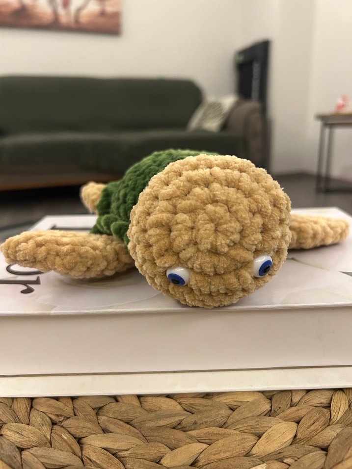 Örgü kaplumbağa - Görsel 2