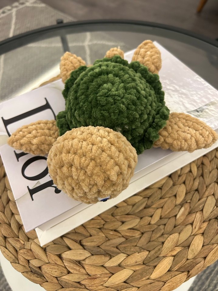 Örgü kaplumbağa - Görsel 4