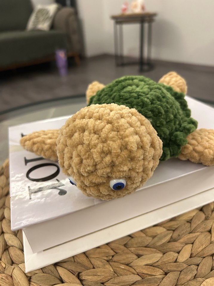 Örgü kaplumbağa - Görsel 3