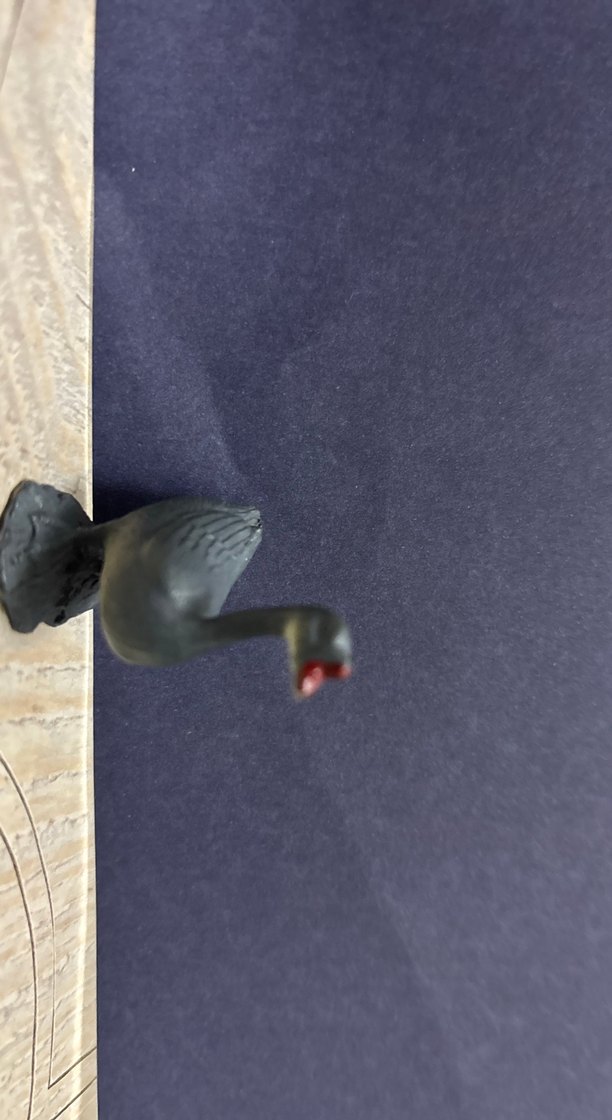 Hayvan Figürleri Seti - Görsel 4