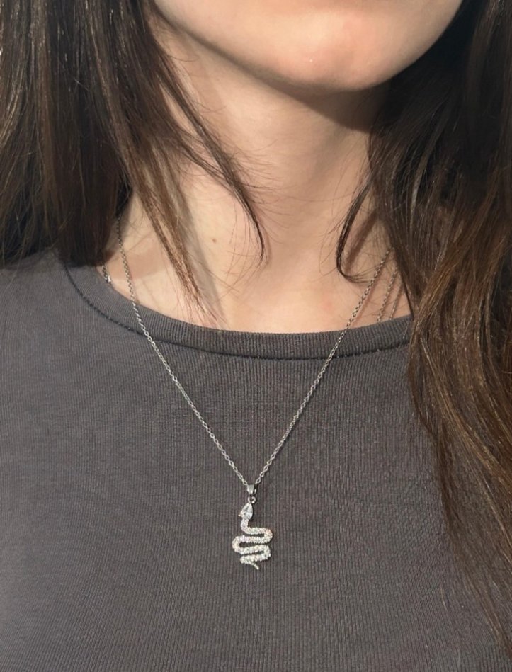 Çelik Işıltılı Yılan Kolye - Görsel 2