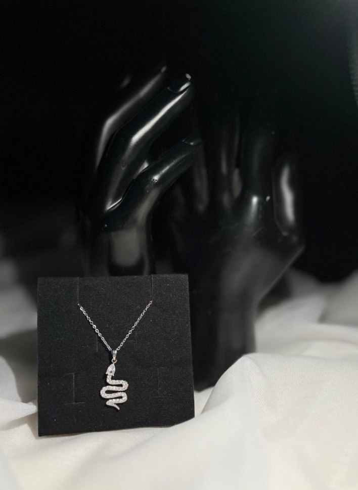 Çelik Işıltılı Yılan Kolye - Görsel 3