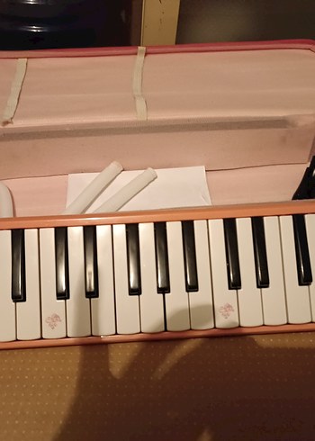 Pastel Pembe Melodika Müzik Aleti - Görsel 3