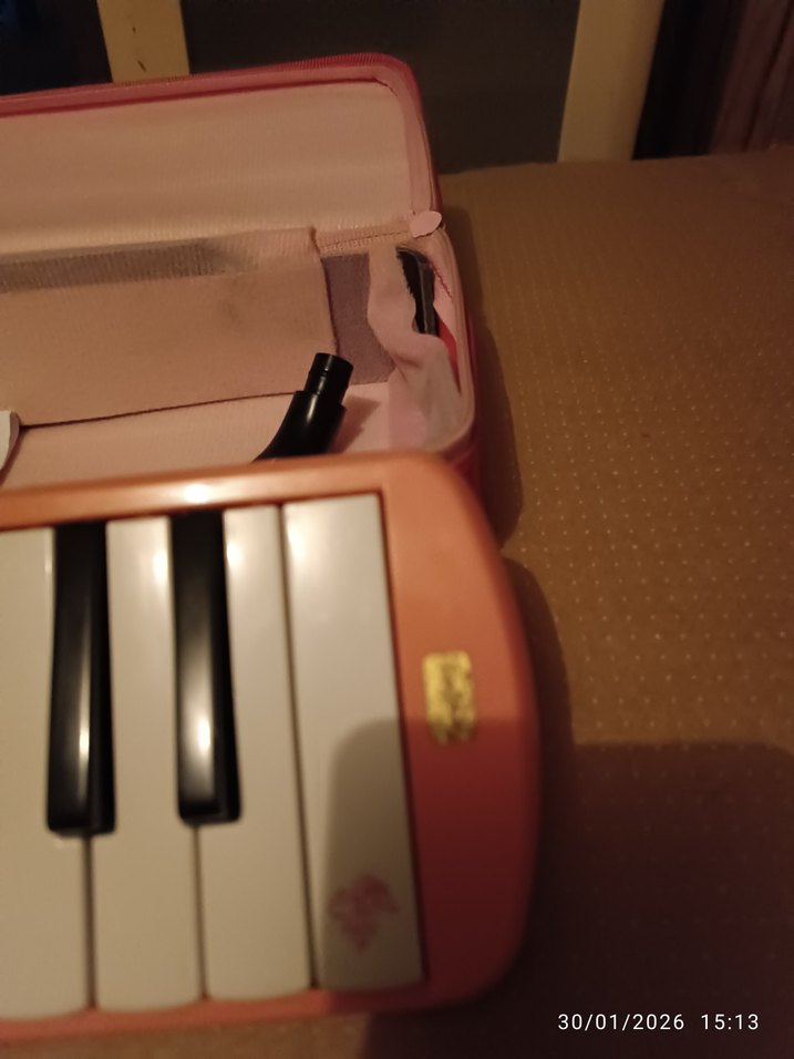 Pastel Pembe Melodika Müzik Aleti - Görsel 4