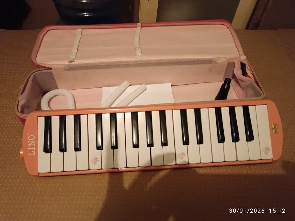 Pastel Pembe Melodika Müzik Aleti - Görsel 3