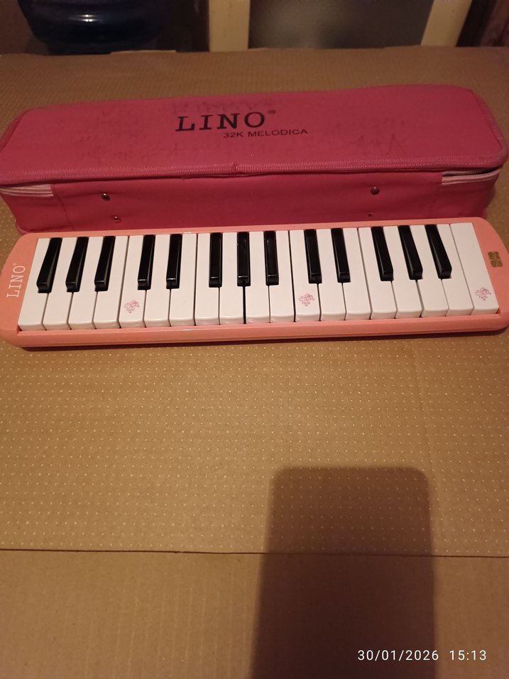 Pastel Pembe Melodika Müzik Aleti - Görsel 2