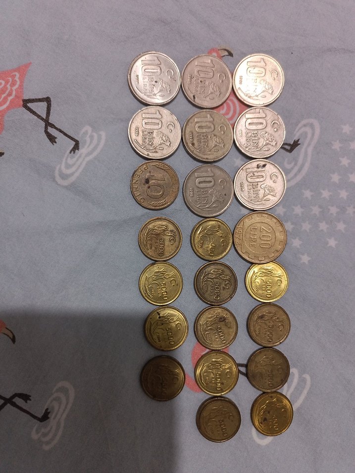 Vintage Erkek Rozetleri ve Paralar - Görsel 2