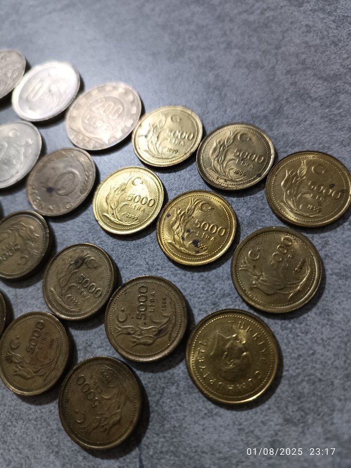 Vintage Erkek Rozetleri ve Paralar - Görsel 4