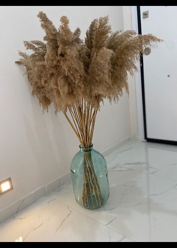 Dekoratif Cam Şişe & Pampas Otu Seti - Görsel 3