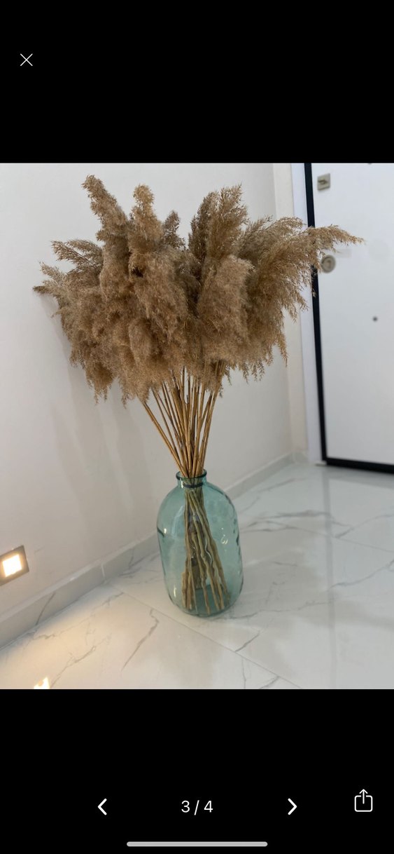 Dekoratif Cam Şişe & Pampas Otu Seti - Görsel 3