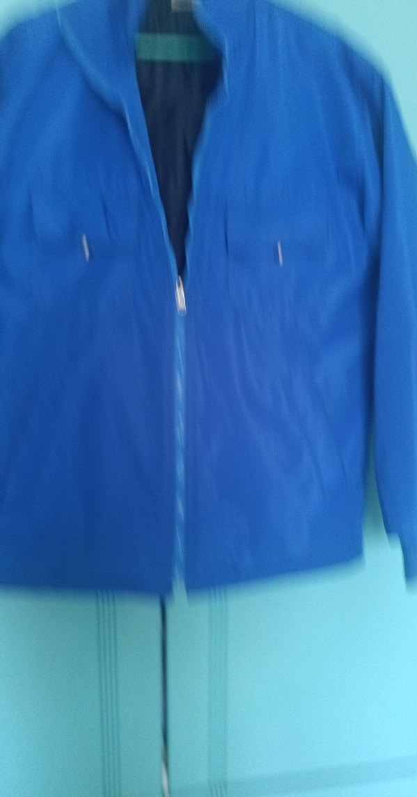 Mavi Fermuarlı Erkek mont - Görsel 2