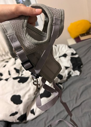 Reflektörlü Gri Kedi Köpek Göğüs Tasması - Görsel 11