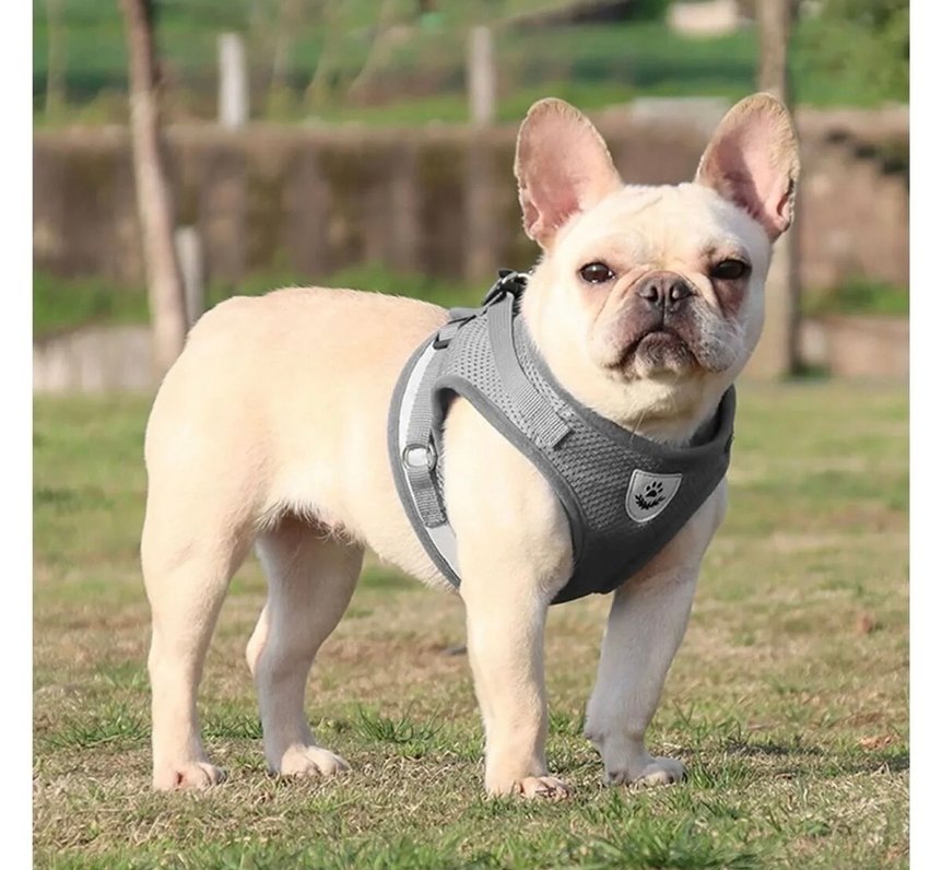 Reflektörlü Gri Kedi Köpek Göğüs Tasması - Görsel 3