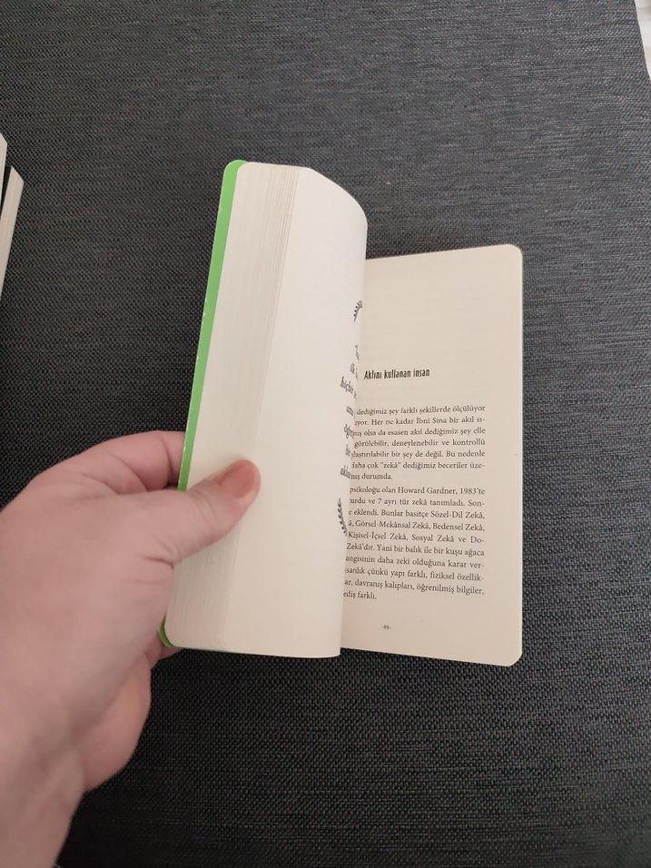 İbni Sina - Görsel 3