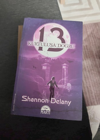 Shannon Delany Üçlü Kitap Seti - Martı Yayınları - Görsel 4