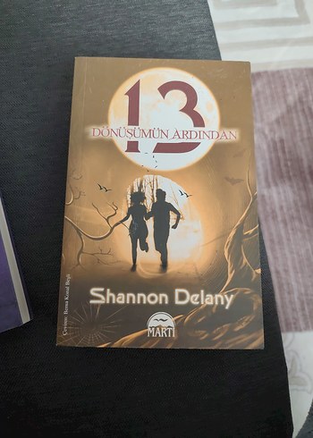 Shannon Delany Üçlü Kitap Seti - Martı Yayınları - Görsel 3