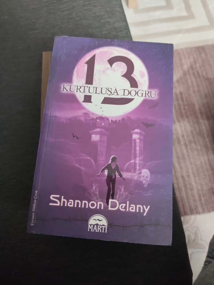 Shannon Delany Üçlü Kitap Seti - Martı Yayınları - Görsel 4