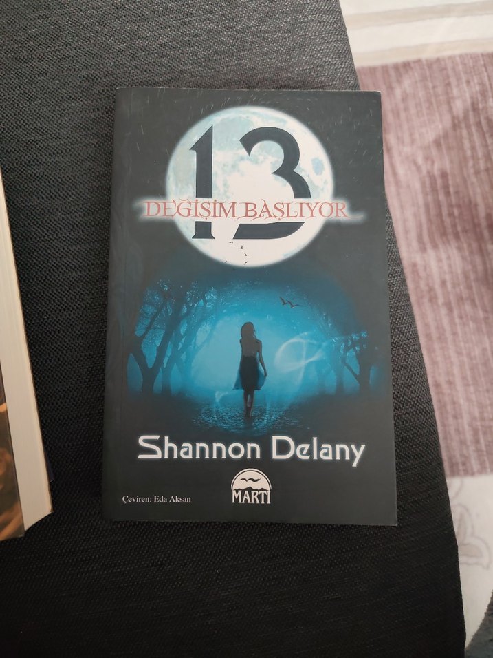 Shannon Delany Üçlü Kitap Seti - Martı Yayınları - Görsel 2