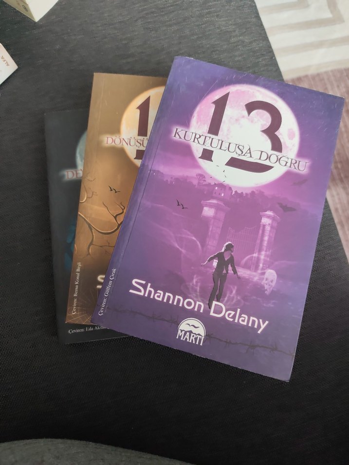 Shannon Delany Üçlü Kitap Seti - Martı Yayınları - Görsel 5