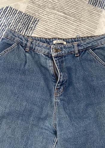 Mavi Kadın Denim Jean Fermuarlı - Görsel 3