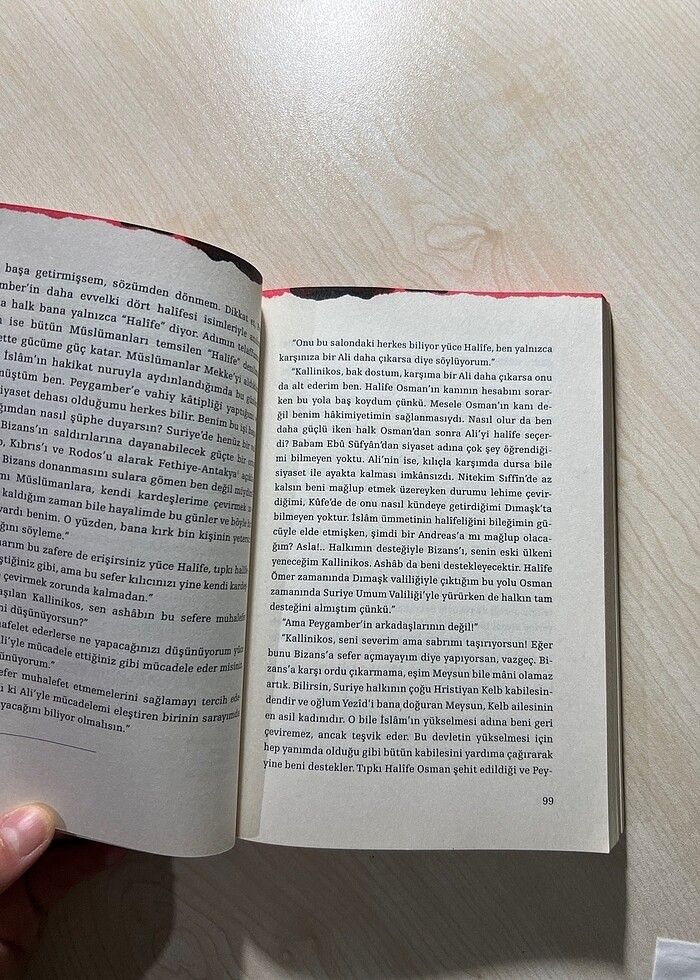 Mihmandar romanı İskender Pala - Görsel 3