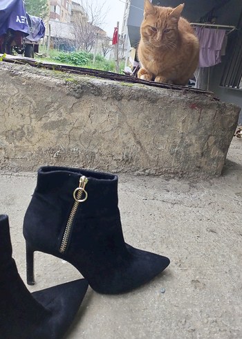 Kahverengi Süet Tokalı Stiletto Bot - Görsel 3