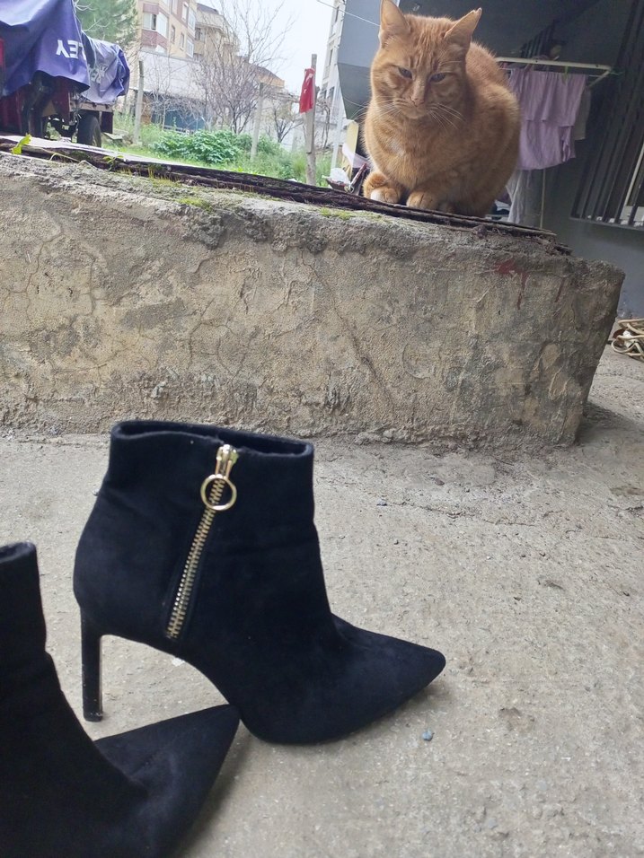 Kahverengi Süet Tokalı Stiletto Bot - Görsel 3