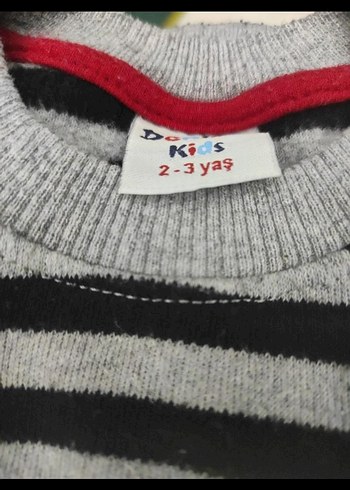 Gri Çizgili Erkek Çocuk Sweatshirt - Görsel 3