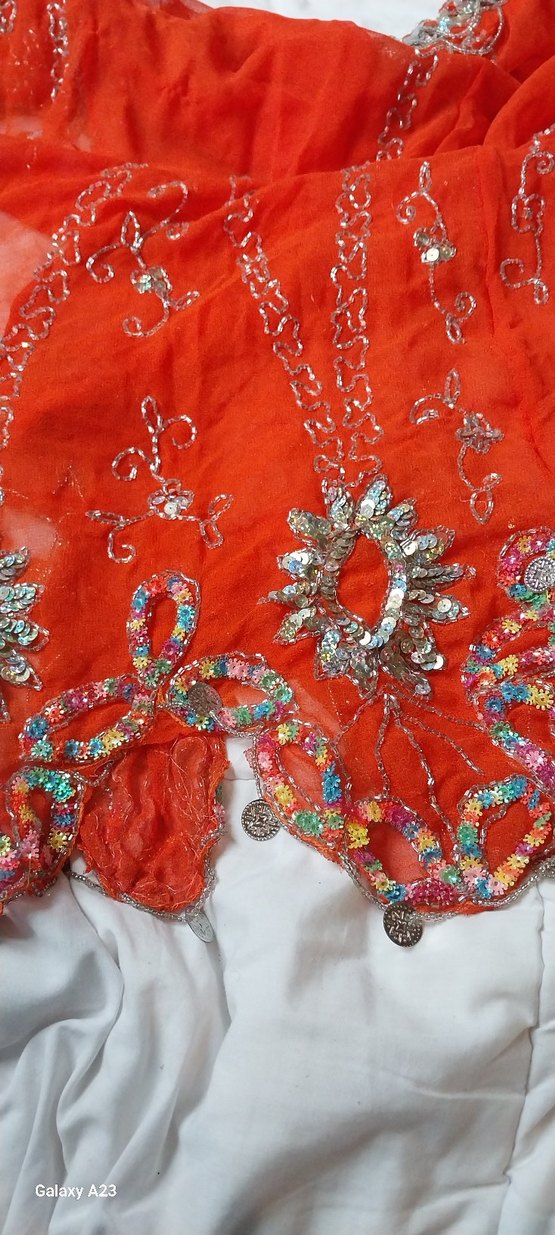 Oryantal Dans Kostümü Üst Etek - Görsel 3