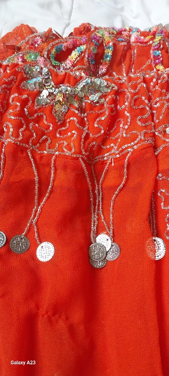 Oryantal Dans Kostümü Üst Etek - Görsel 5