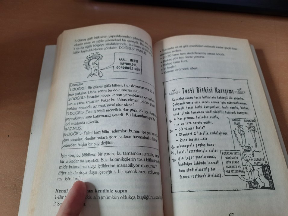 Bitki Sevenler Kulübü - Eğlenceli Bilgi - Görsel 3