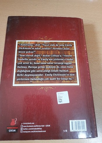 Emily Babasını Arıyor - Çocuk Kitabı - Görsel 2