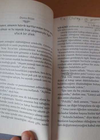 Emily Babasını Arıyor - Çocuk Kitabı - Görsel 4