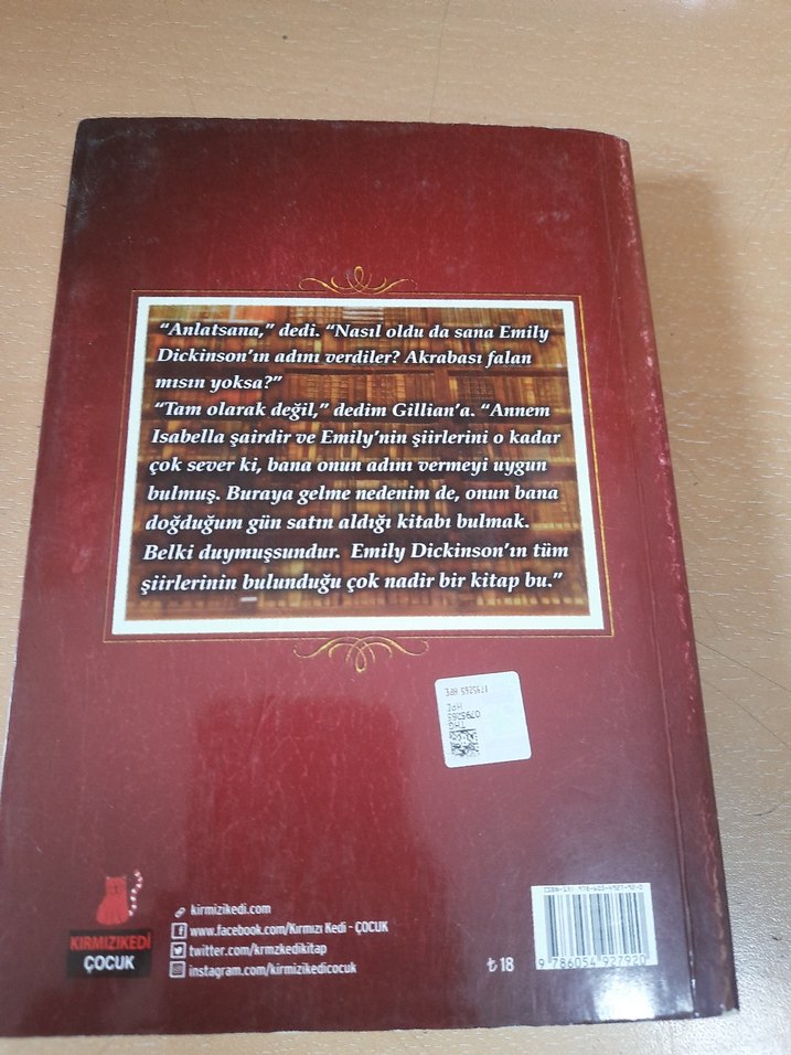 Emily Babasını Arıyor - Çocuk Kitabı - Görsel 2