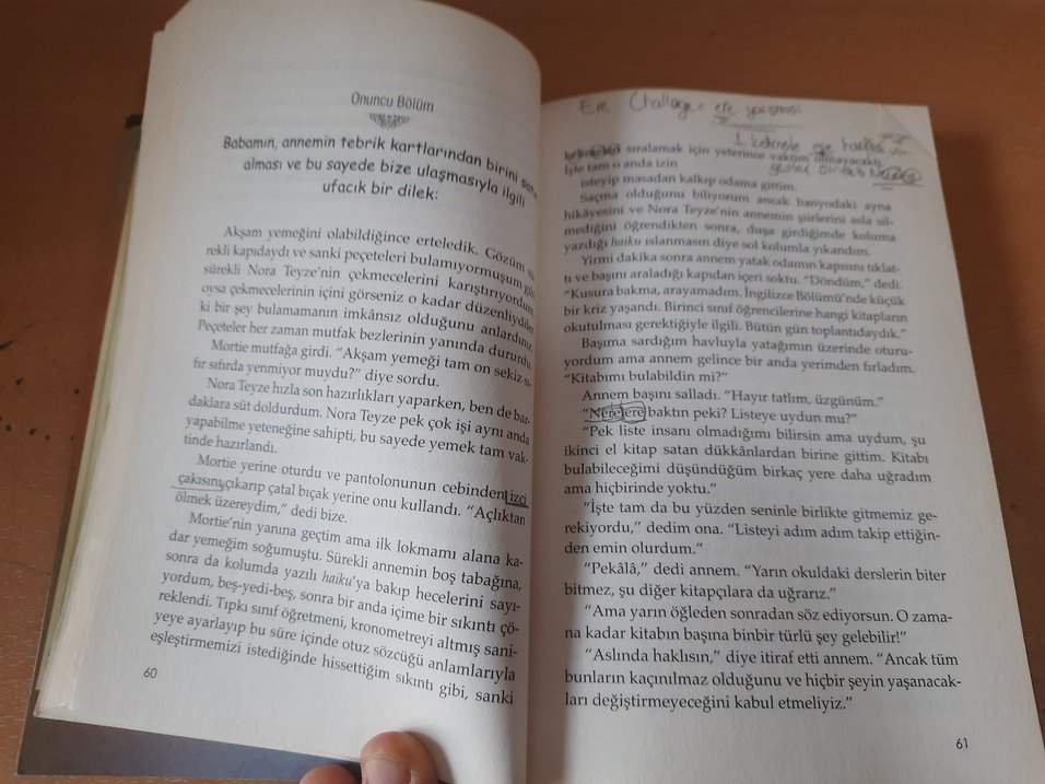 Emily Babasını Arıyor - Çocuk Kitabı - Görsel 4