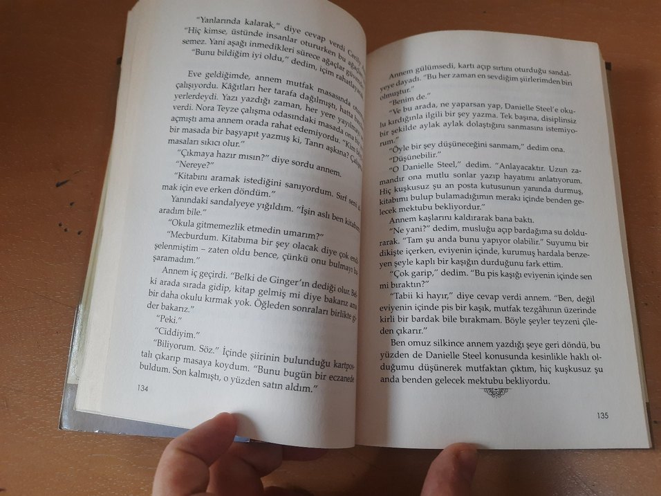 Emily Babasını Arıyor - Çocuk Kitabı - Görsel 3