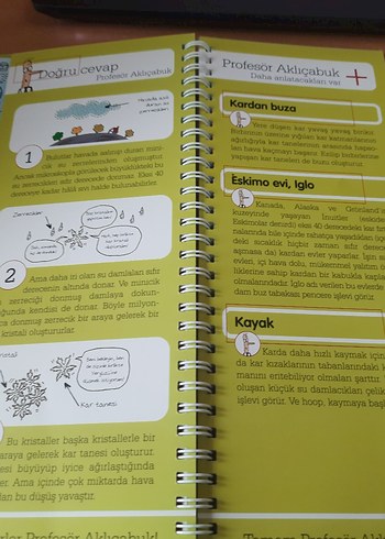 Sor Bakalım Bilim kitabı - Görsel 5