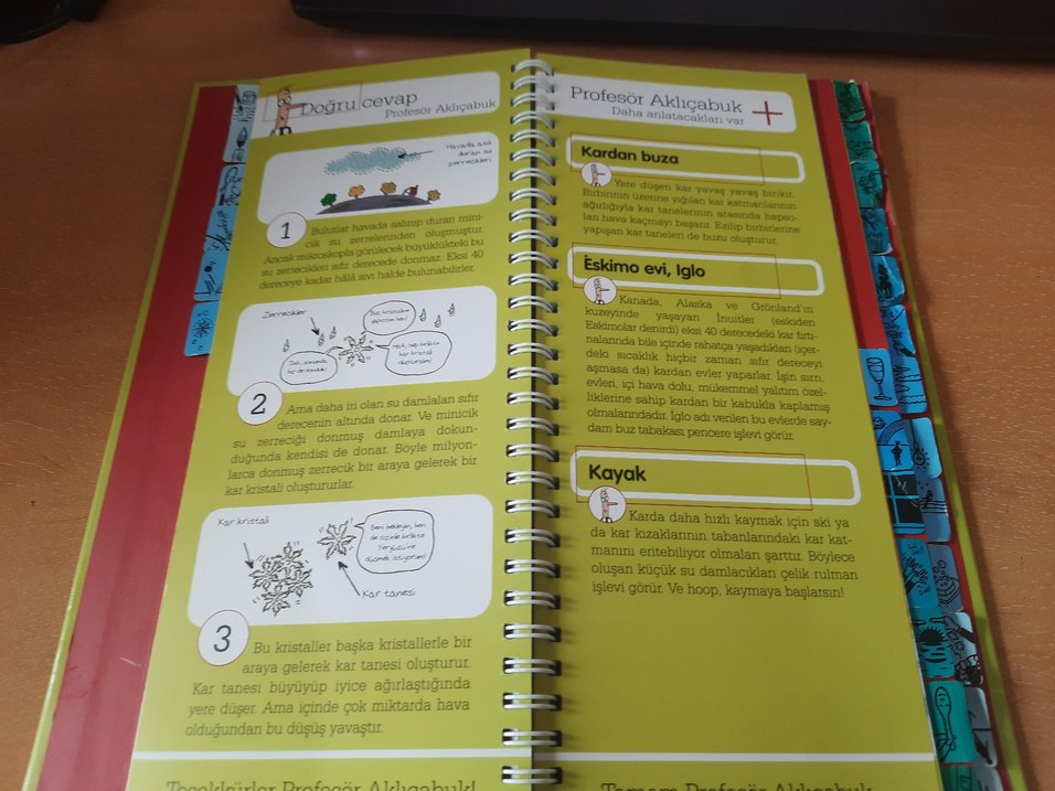 Sor Bakalım Bilim kitabı - Görsel 5