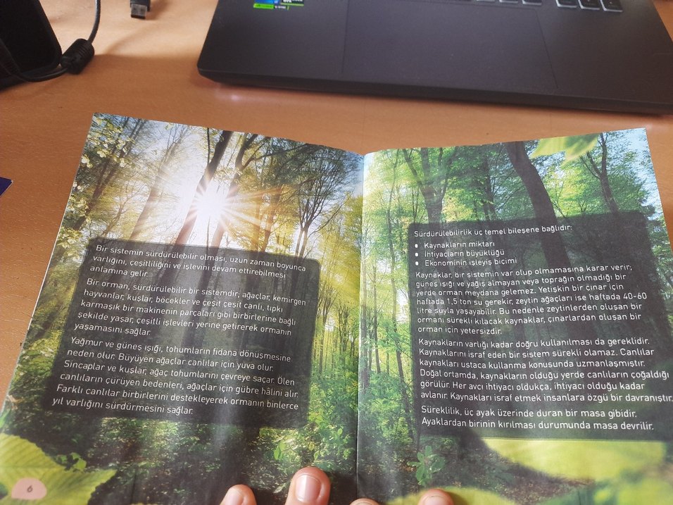 National Geographic Kids - Çocuk Kitapları Seti - Görsel 5