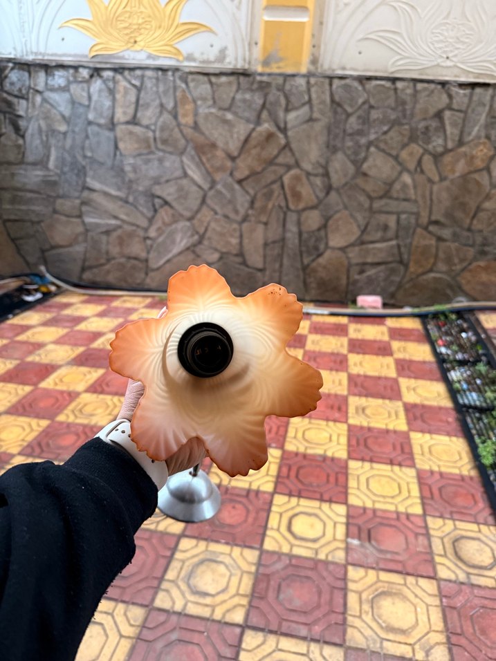 Bej Renkli Sarkıt Lamba - Görsel 2