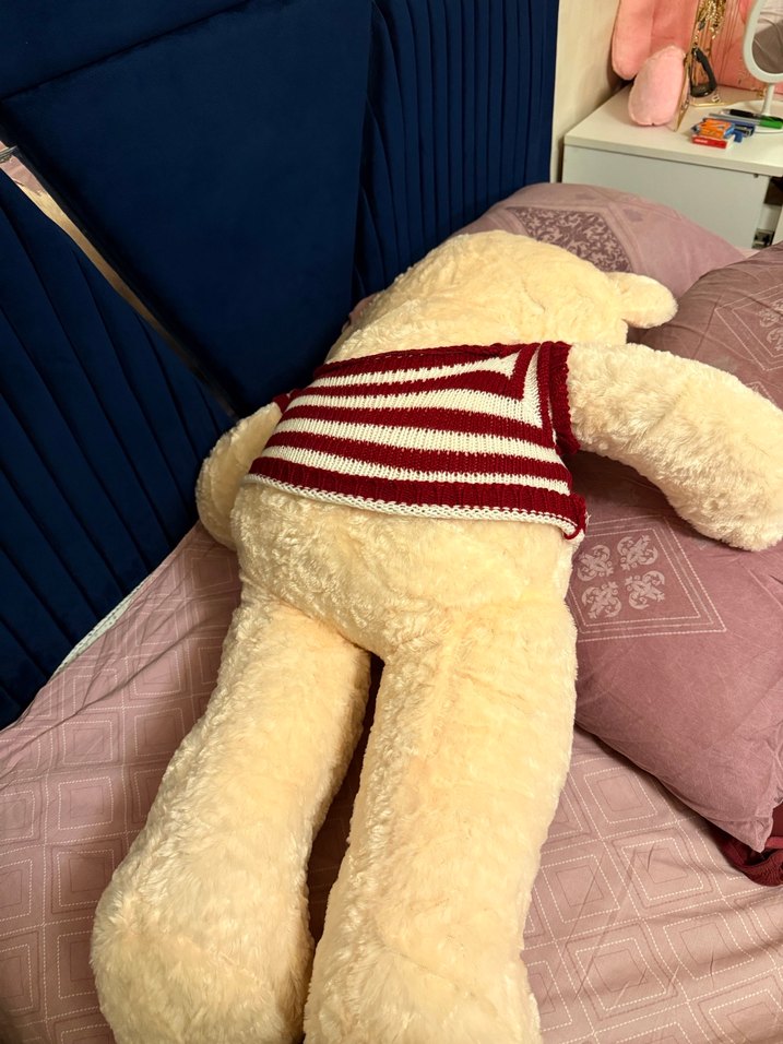 Çizgili Kazaklı Büyük Peluş Ayı - Görsel 2