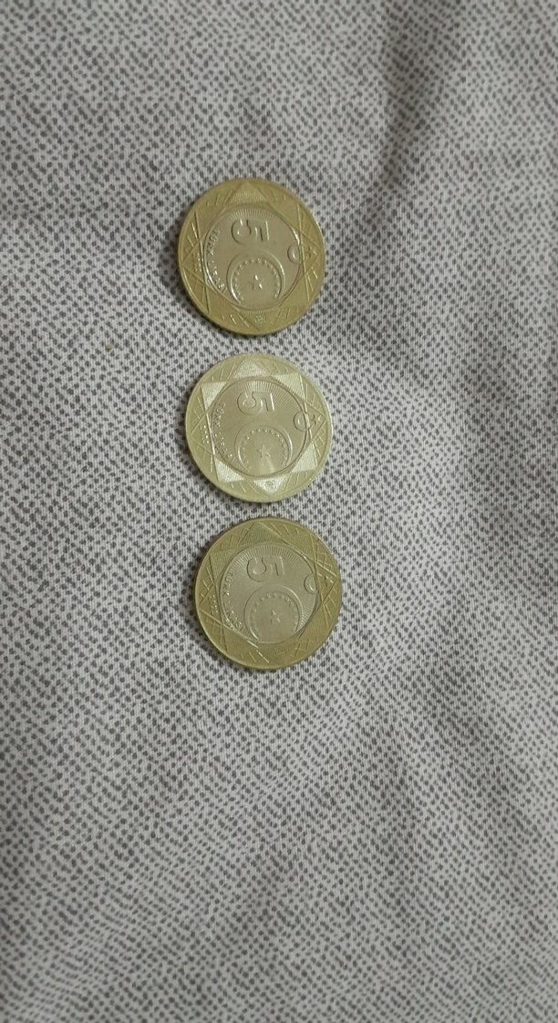 Vintage Erkek Altın Rozetler - Görsel 2