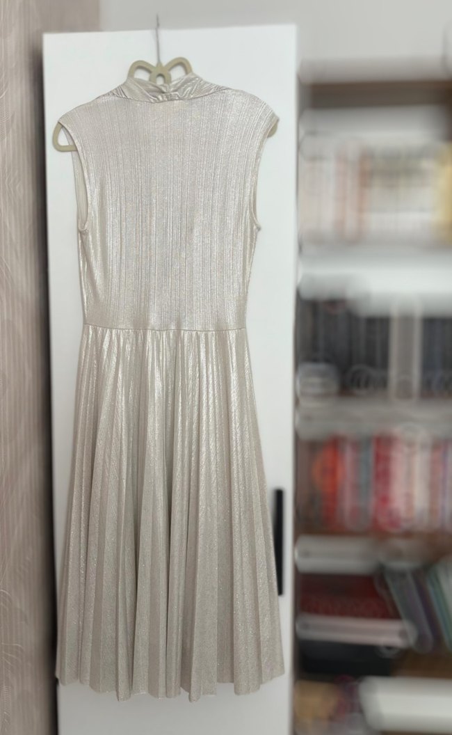 Bej Pilili Uzun Abiye Elbise - Görsel 2