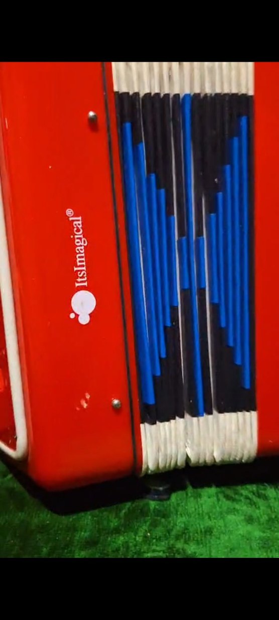 Kırmızı Renkli Çocuk Akordeon OYUNCAK DEĞİLDİR - Görsel 3